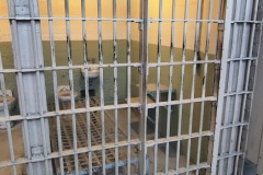 alcatraz-10