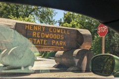 redwood-0